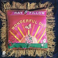 Ray Pillow - Wonderful Day